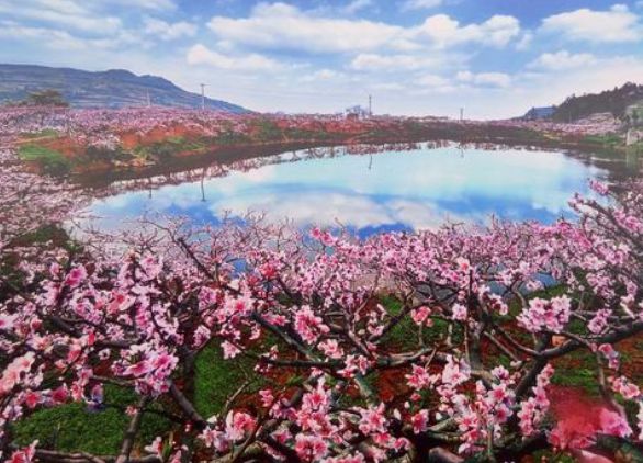 市政護欄廠家聯(lián)系方式 市政護欄廠家聯(lián)系方式